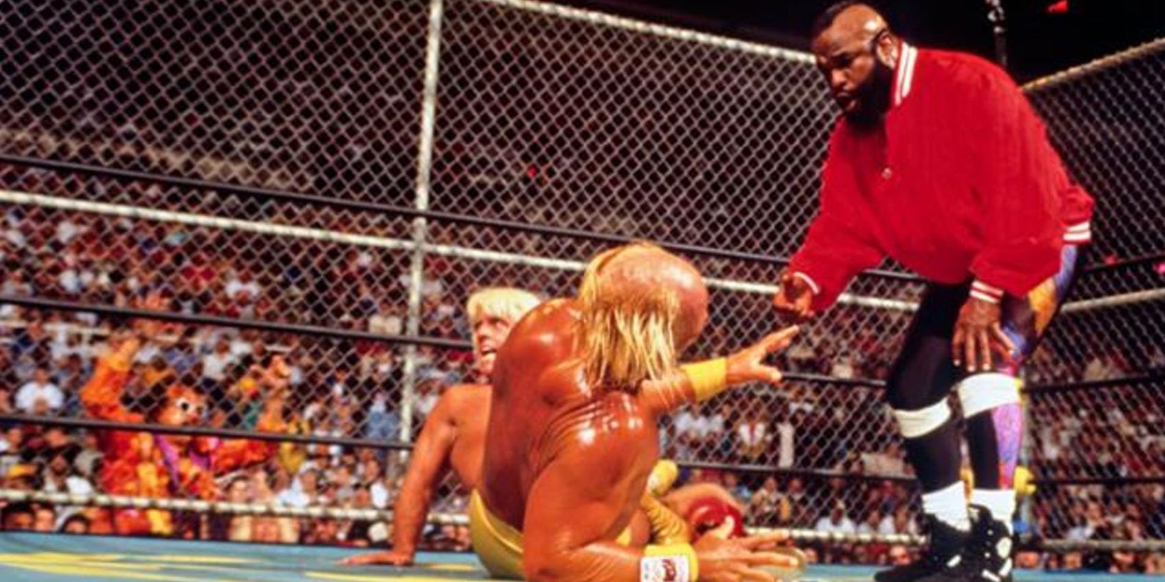 16 Best Hulk Hogan Matches According To Dave Meltzer