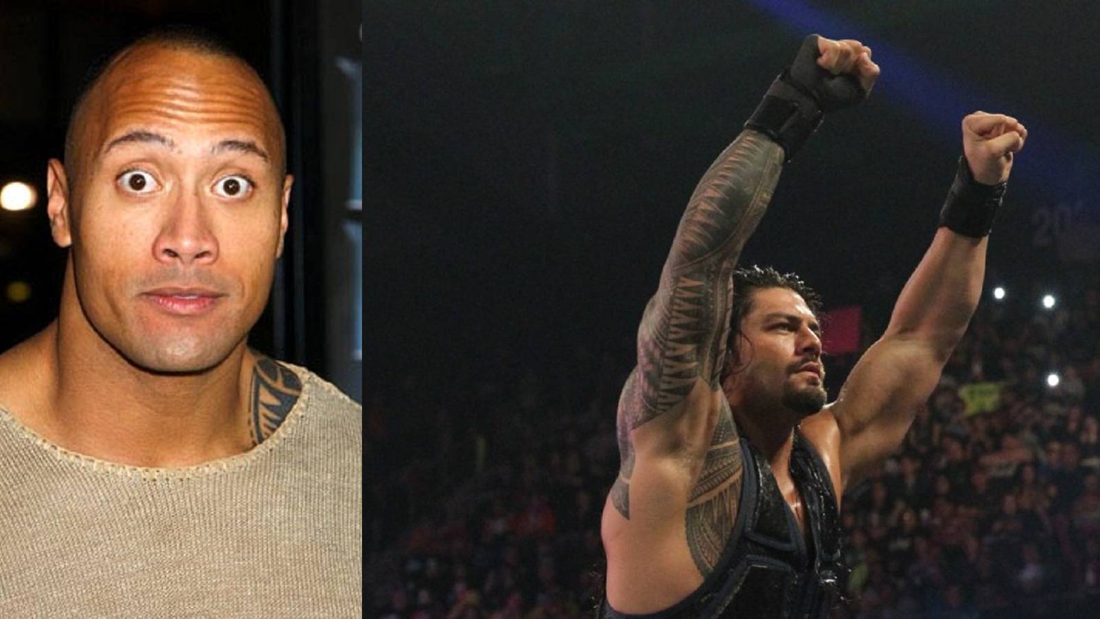 Top 15 Awesome Reactions to the 2015 Royal Rumble