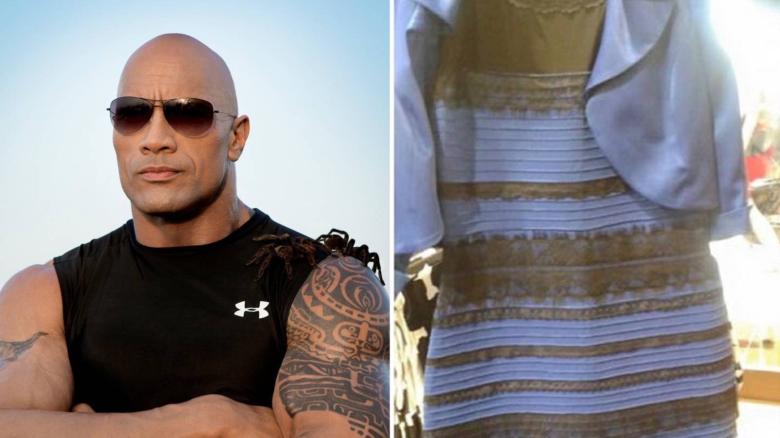 The Rock Says The Color Of #TheDress Is...