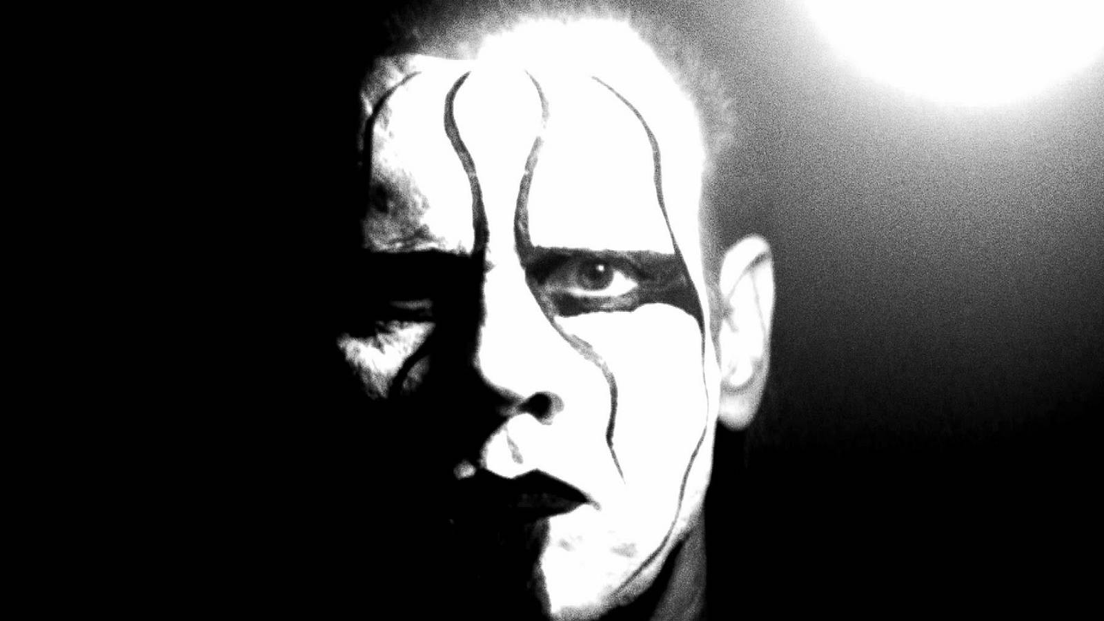 Top 15 Little-Known Facts About Sting