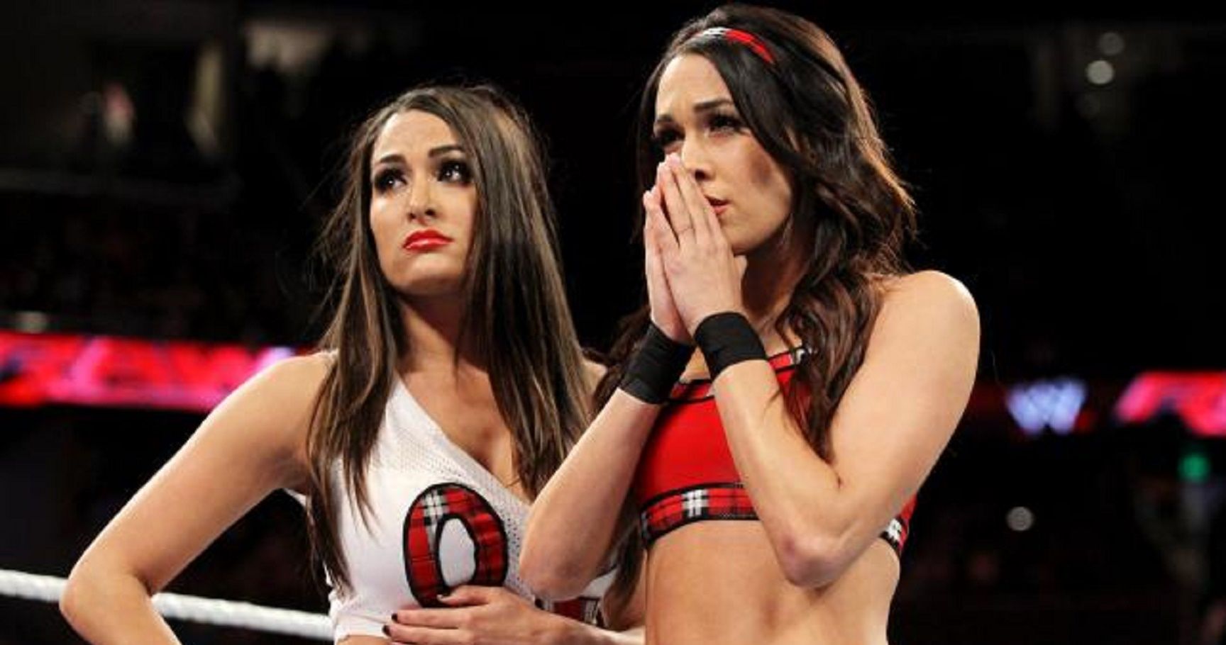 Top 15 WWE Divas Wardrobe Malfunctions pic