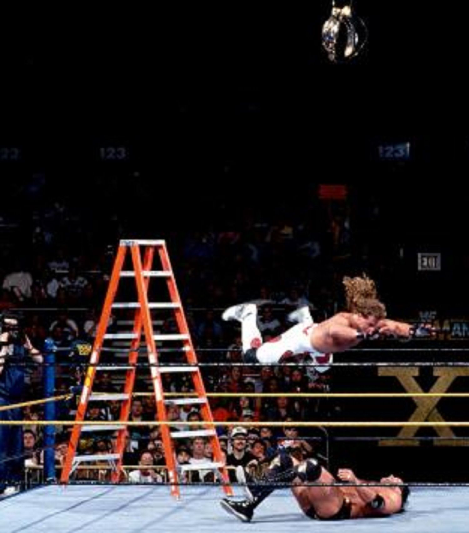 Top 20 Most Iconic Pictures in Wrestling History