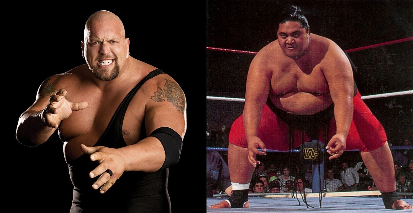 Top 15 Wrestler vs. Wrestler Real Fights: Who Would Win?