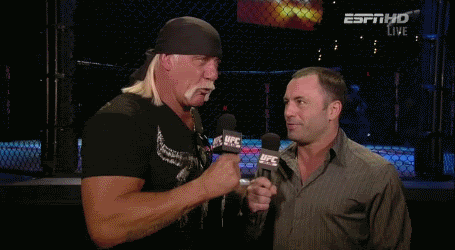 Hulk Hogan and Joe Rogan