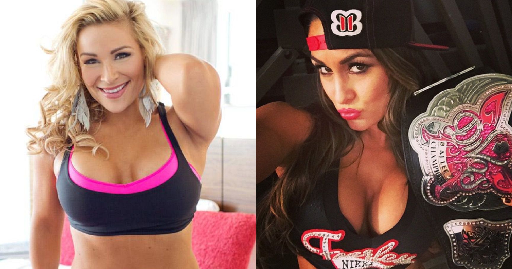 Top 20 Hottest Wrestler WAGs Who Are Blessed In the Chest