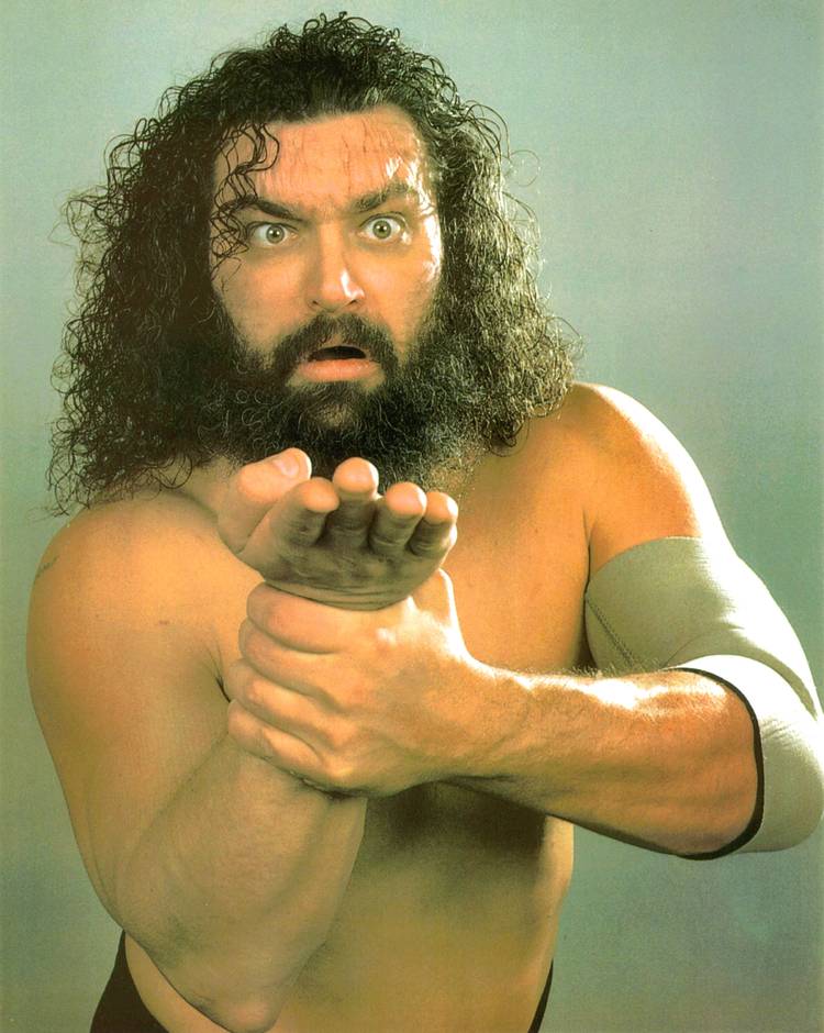 Top 15 Insane Real-Life Outside the Ring Wrestling Stories