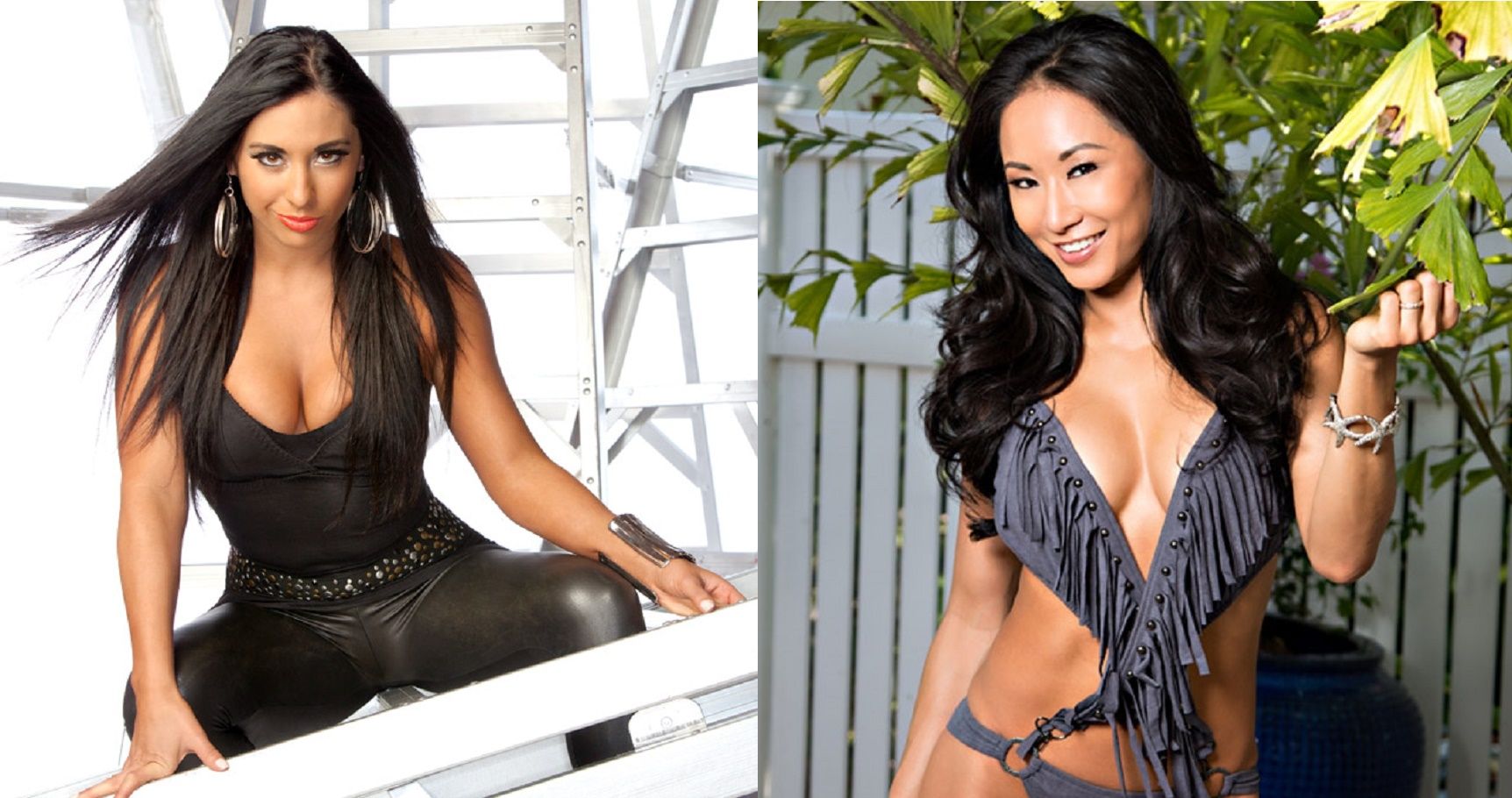 1724px x 910px - Top 15 Hot WWE Divas You Completely Forgot About