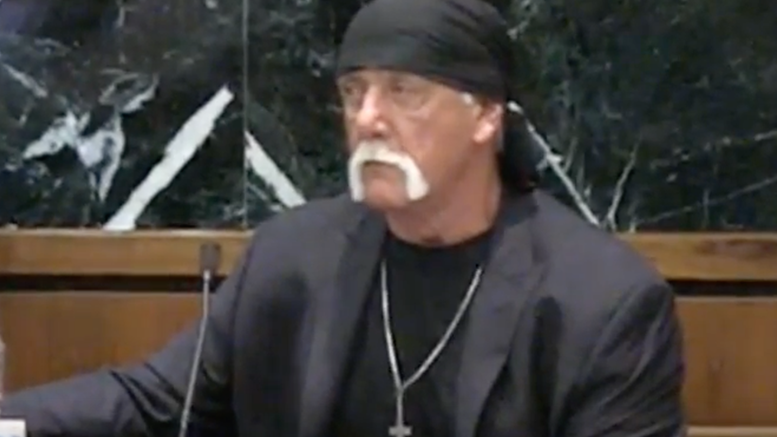 Hulk Hogan penis court video gawker lawsuit