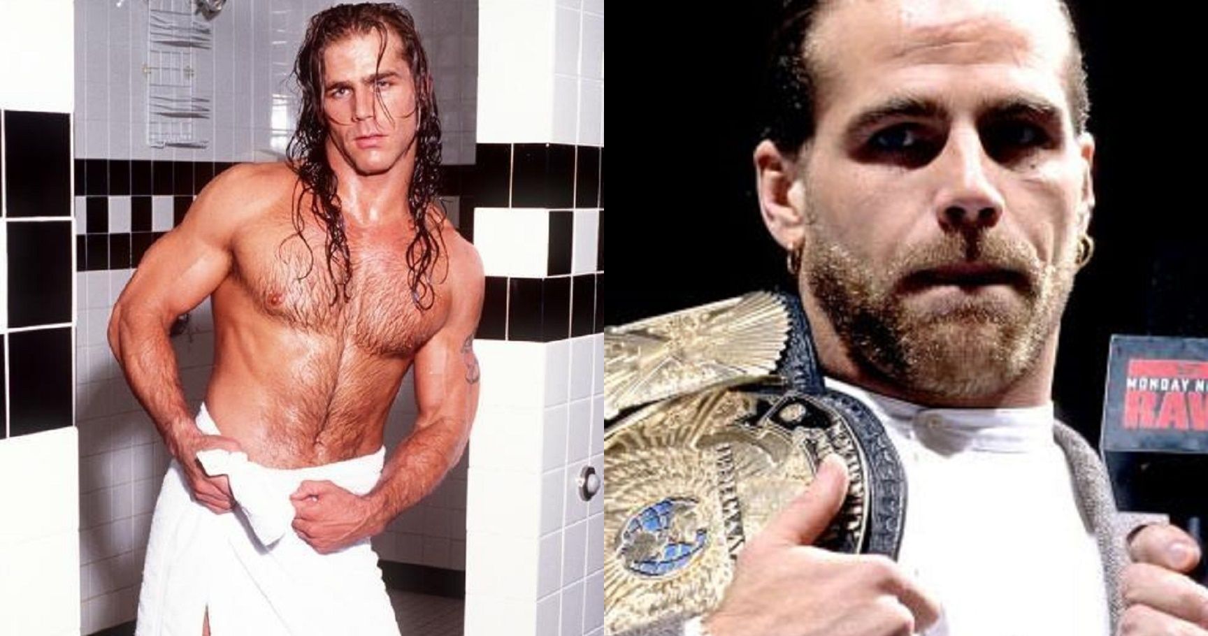 Top 15 Things Fans Would Like To Forget About Shawn Michaels.