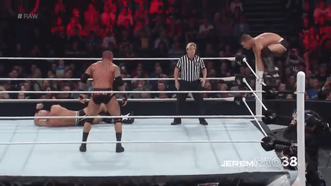 Top 15 Most Insane RKOs of All Time