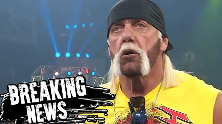 Hulk Hogan -- Portion of N-Word Rant Released (AUDIO)
