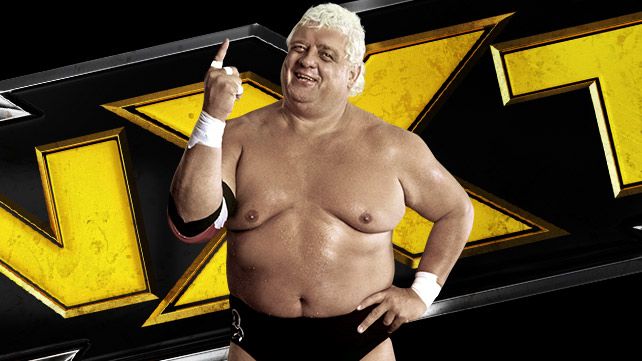 WWE ダスティーローデス WWF WWE プロレス ダスティ ローデス フィギュア - メルカリ