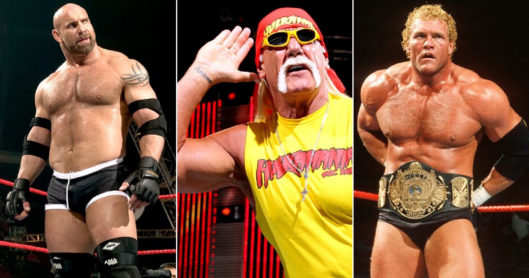 Top 15 Most One-Dimensional Wrestlers