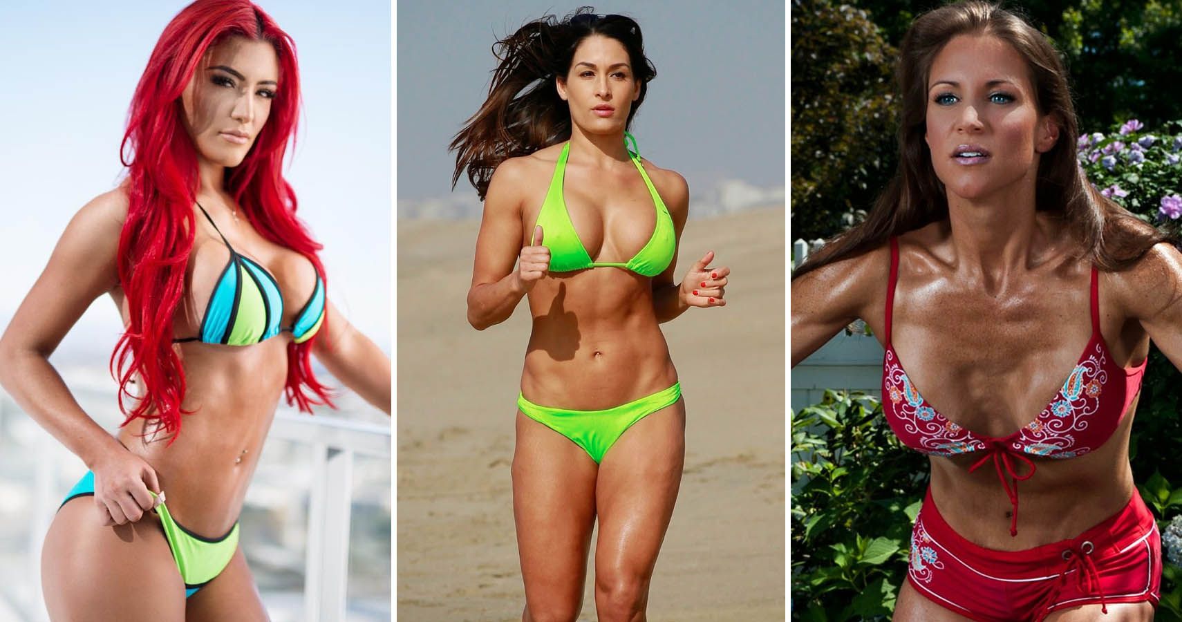 Top 20 Hottest Pics Of WWE Divas In Bikinis