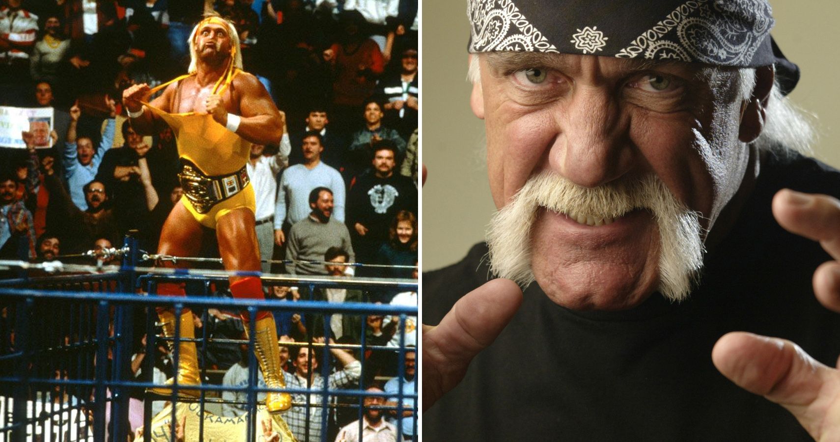 Legends To Losers: 15 Wrestling Heroes Who Turned Out To Be Bad People