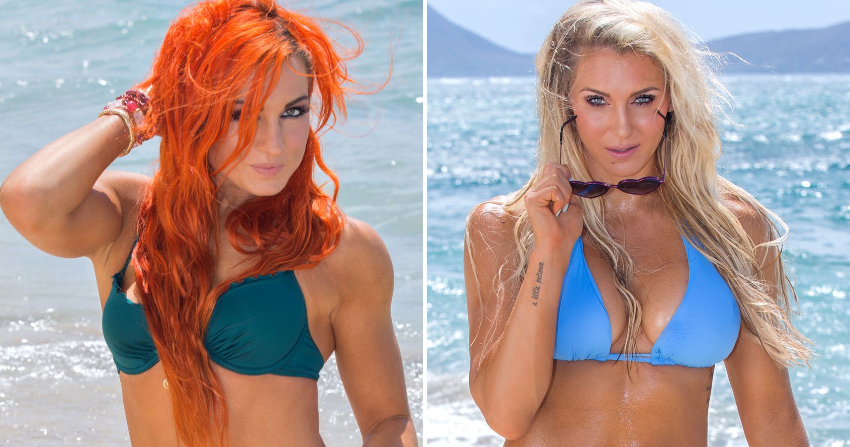 20 WWE Diva Bikini Pictures That You've Probably Never Seen Before.