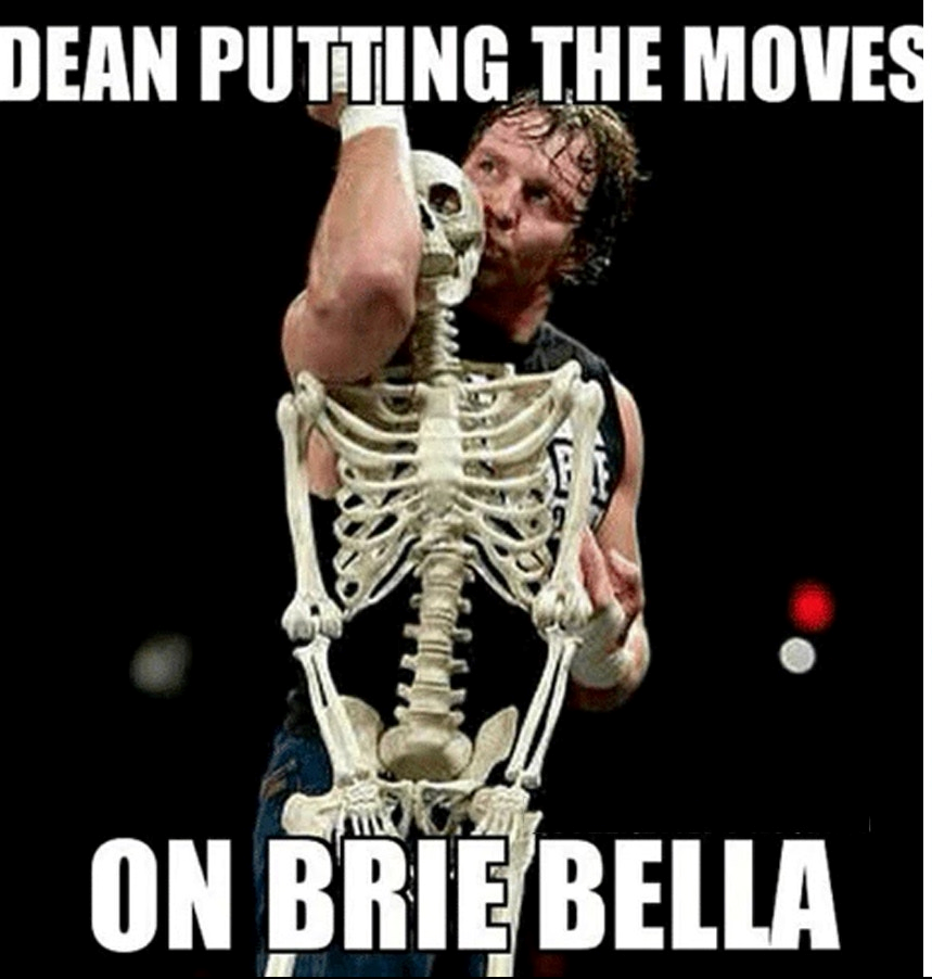 Ambrose Bella Twins meme