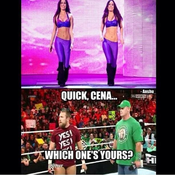 Bella Twins Daniel Bryan and Cena 
