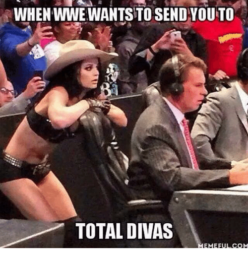Total Divas Paige meme