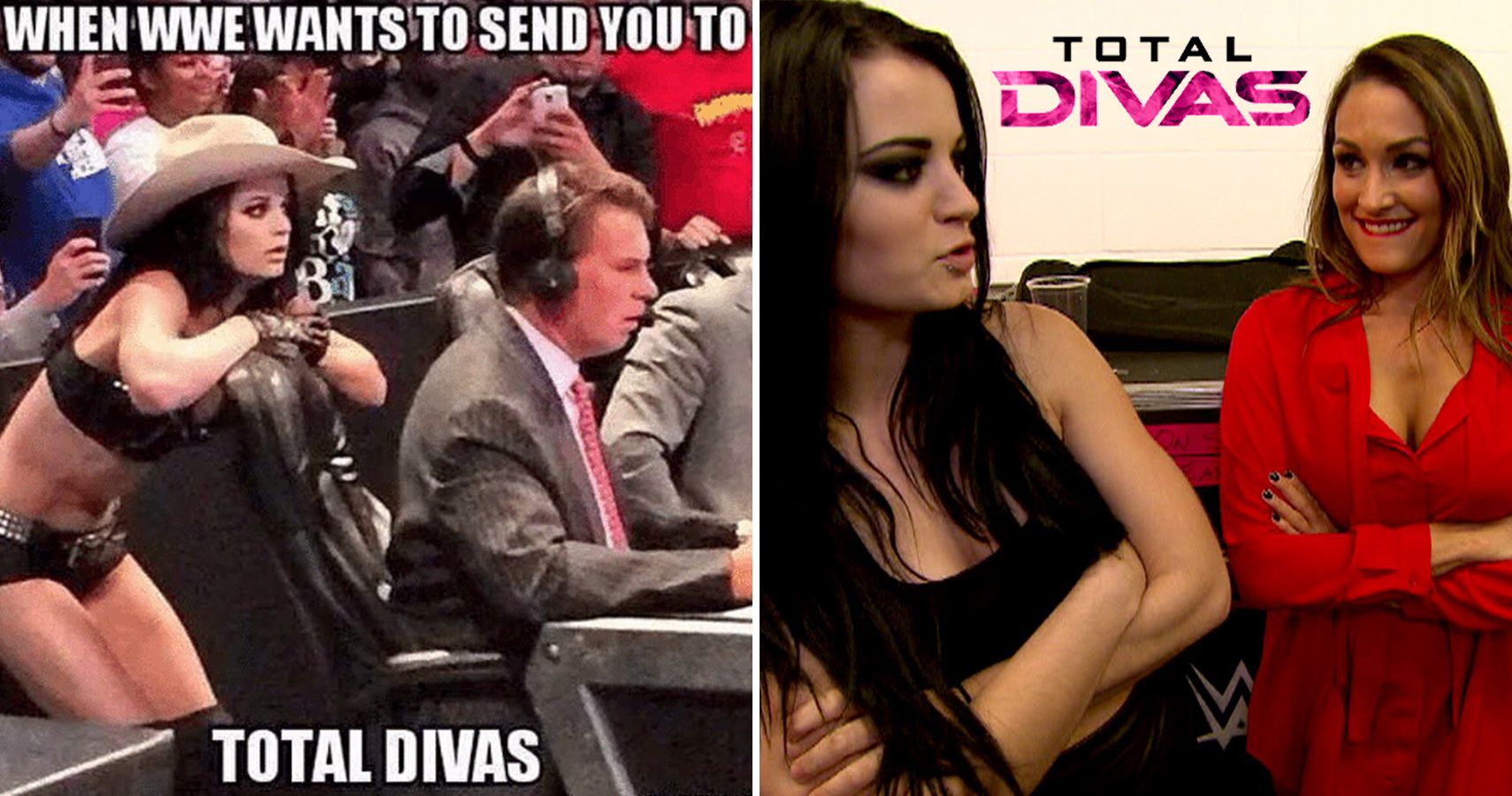 Sex Tamina - 25 Savage AF Memes About The Women Of WWE