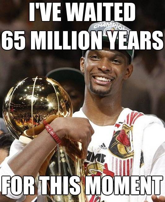Nba Memes Reddit 175 Chris Bosh Meme via nbamemes reddit