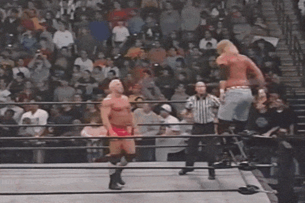 Gifs Of Wrestling Botches | TheSportster