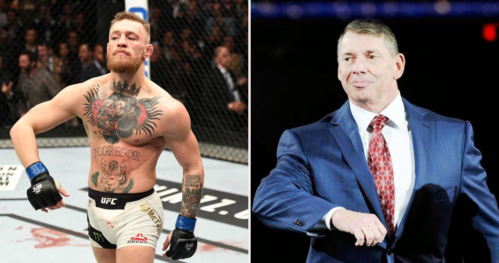 What Does Conor McGregor Think Of Vince McMahon?