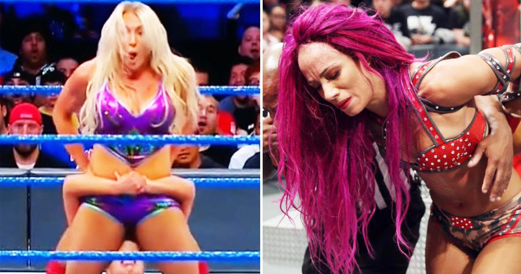 15 Times WWE Divas Accidentally Revealed A Little Too Much 