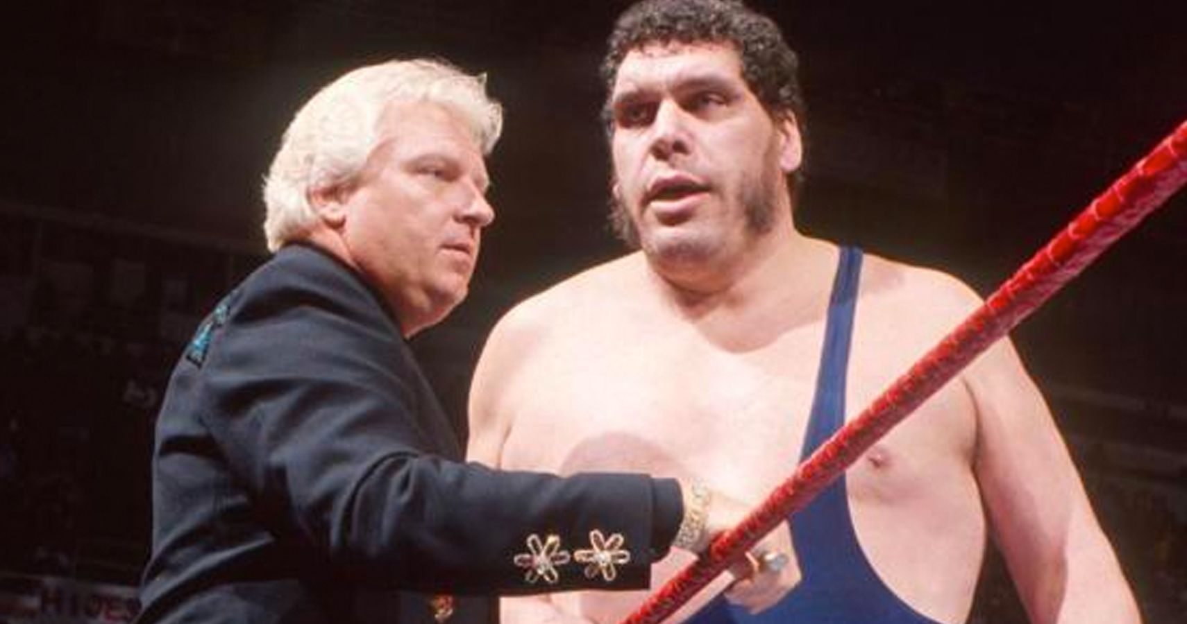 Andre the Giant and Hulk Hogan | Andre the giant, Hulk hogan, Professional  wrestling