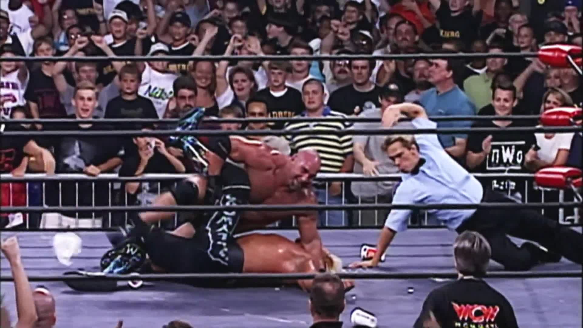 Goldberg pinning Hogan
