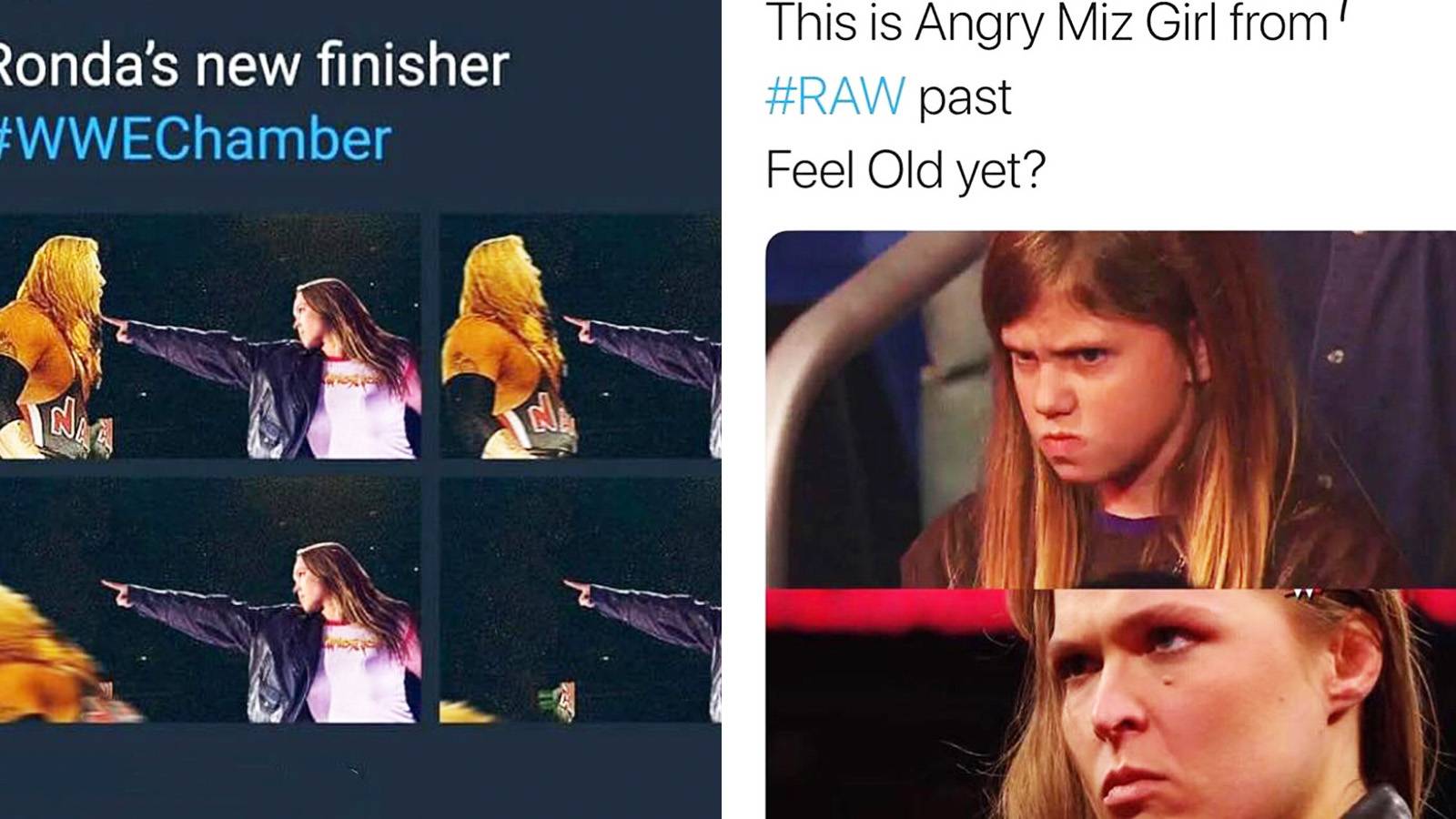 20 Hilarious Ronda Rousey Memes