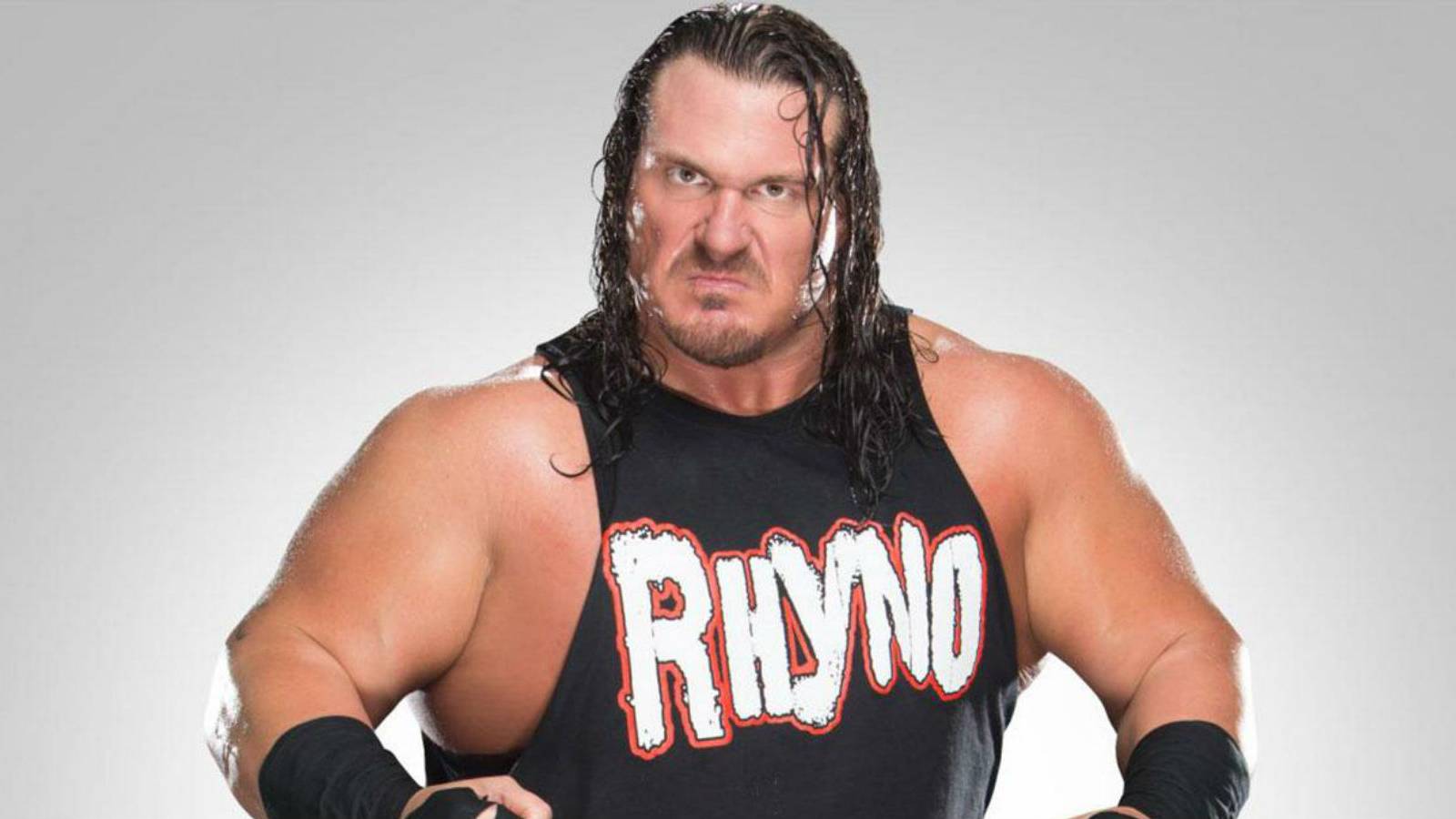 What WWE Originally Had Planned For Rhyno In WWE