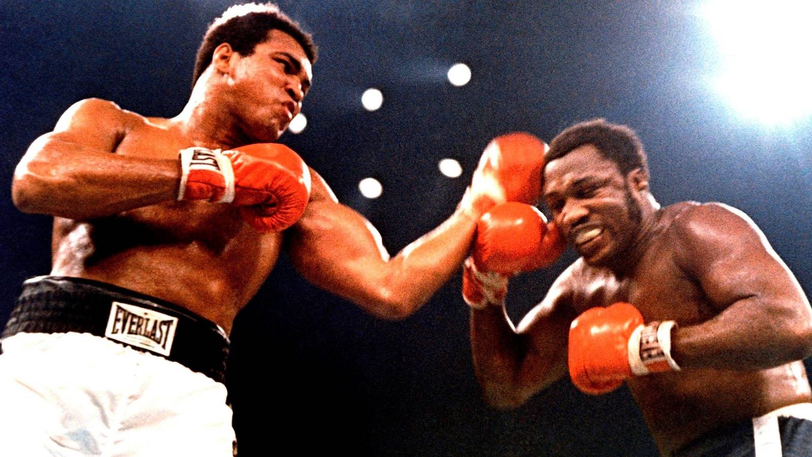 Pro Boxing Y 10 Interesting Facts Everybody Should Know About Pro Boxing