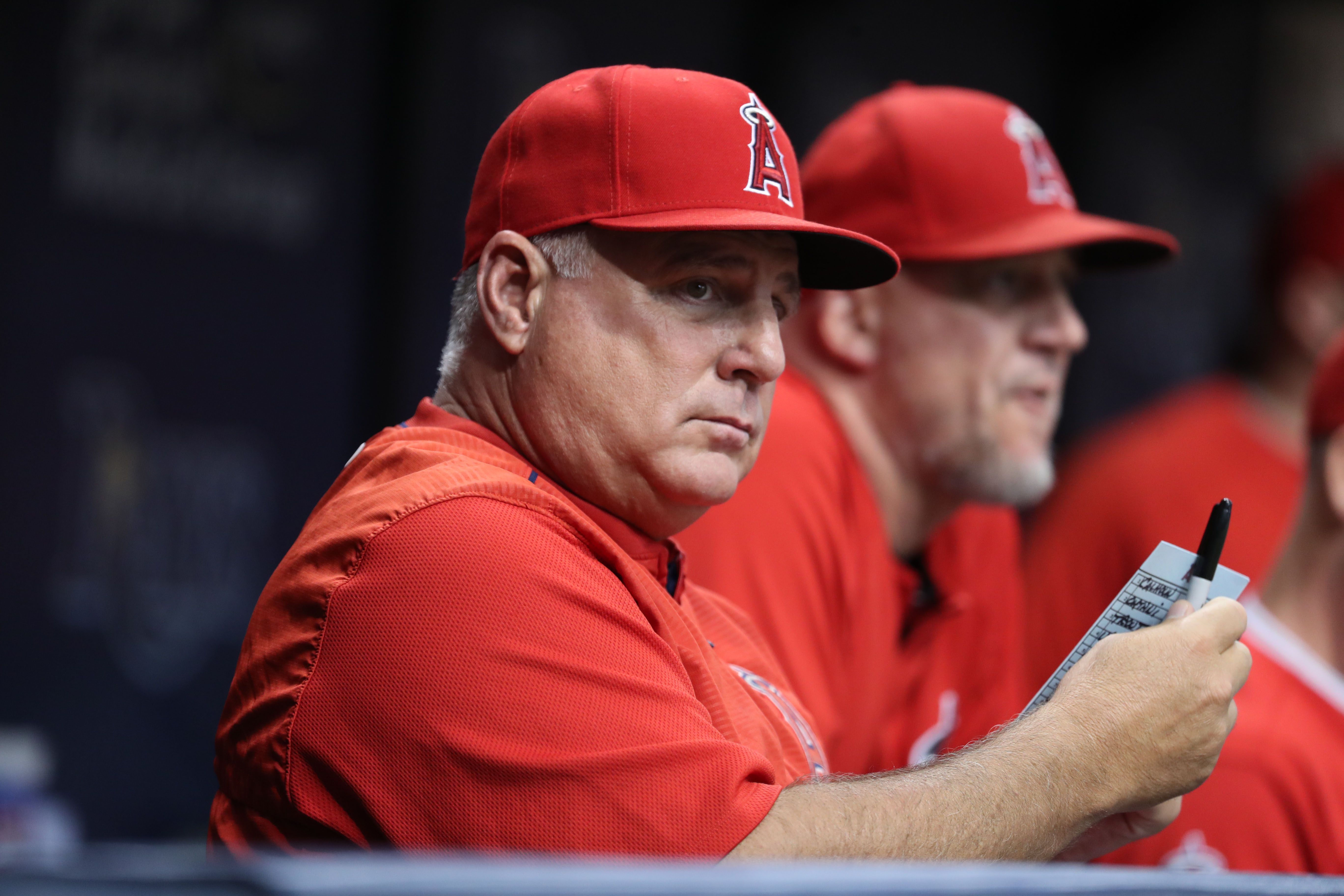 Mike Scioscia Rumored To Retire After Shutting Down Angels Departure Report