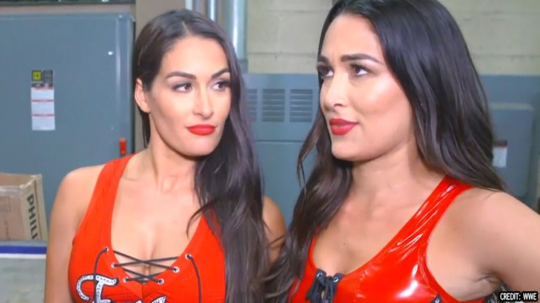 bella twins explanation ronda rousey attack interview video evolution raw