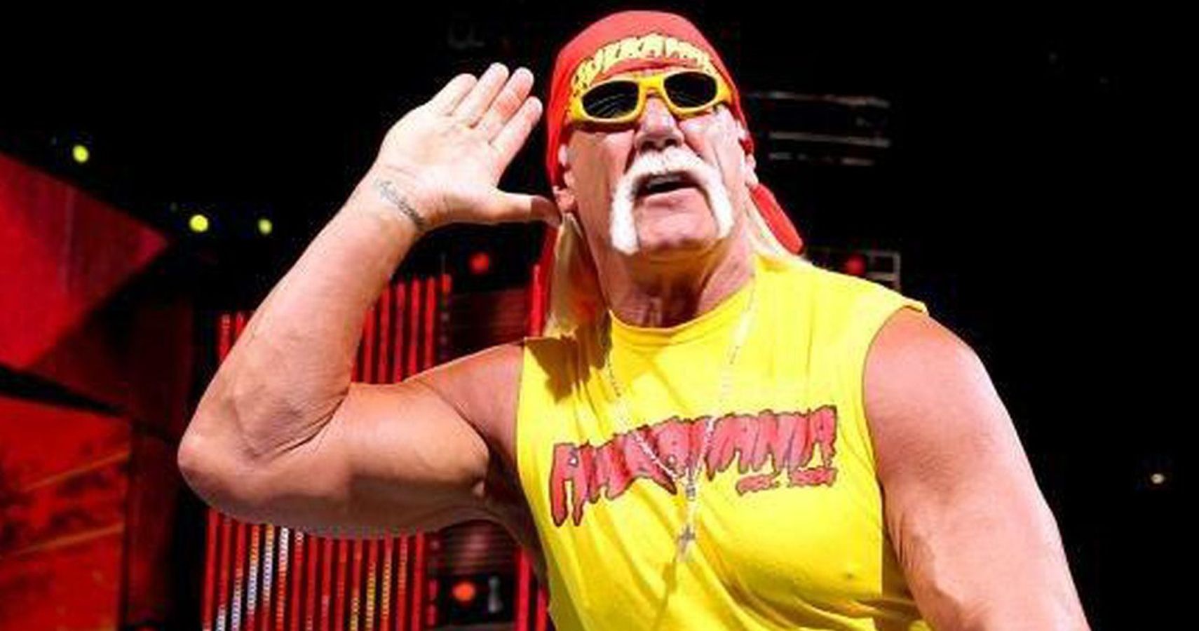 Hulk Hogan - wide 5