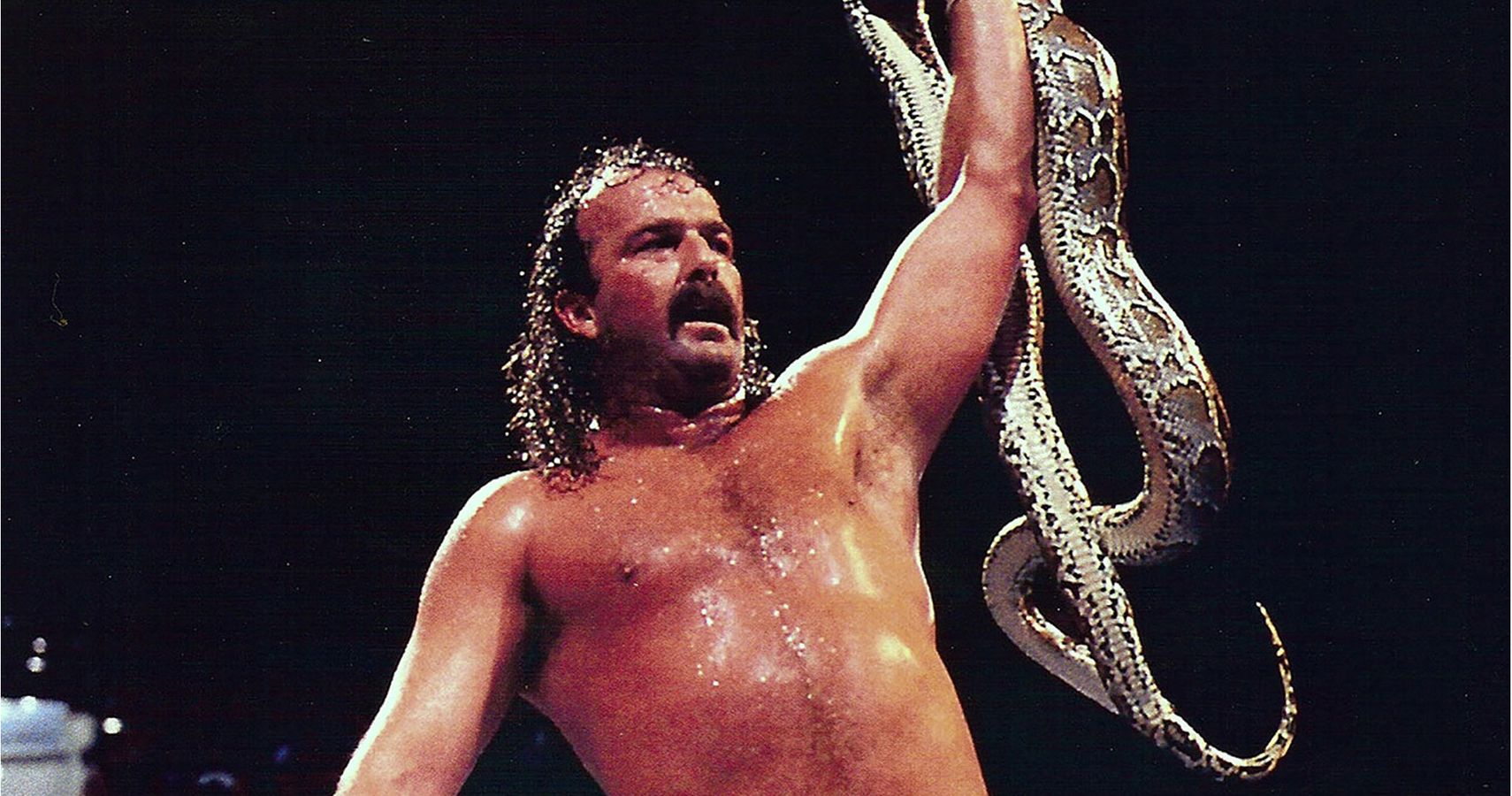 You Deserve It: 10 Wrestlers That Deserved A Title Win That Never Came