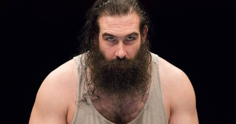 Backstage Details On WWE's Future For Luke Harper Prior To Contract ...