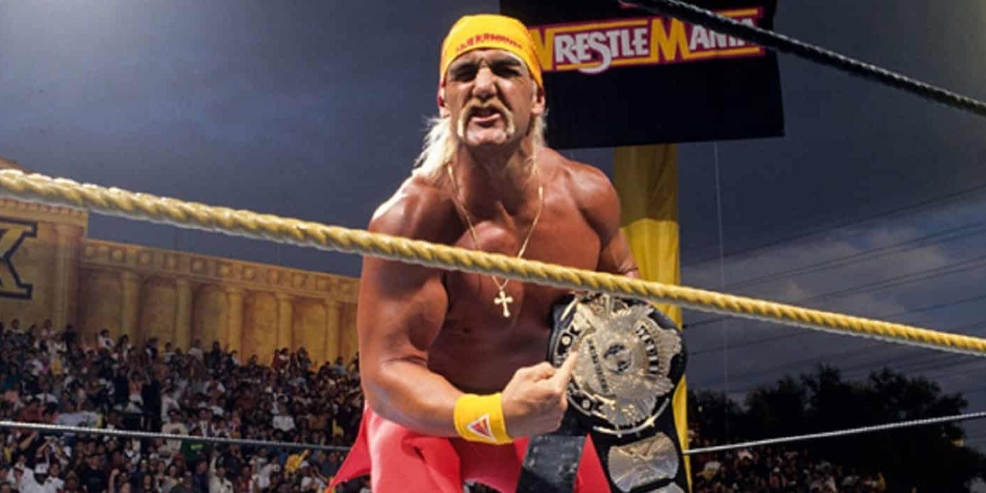 Hulk Hogan WWE Champion 1993