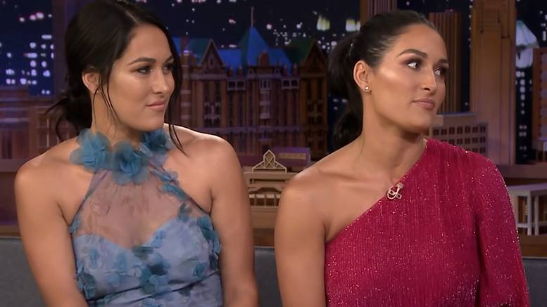 Nikki Bella Was Forced to Retire Due to Herniated Disc and Brain Cyst