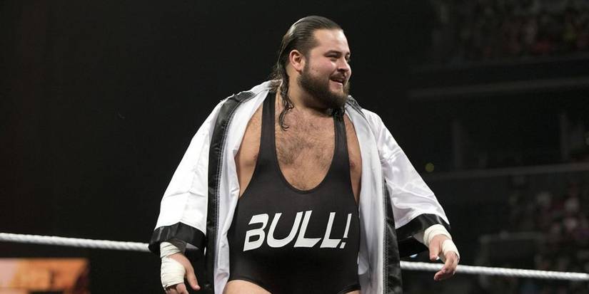 10 Wrestlers Who Were Released In NXT (And Where They Are Now)