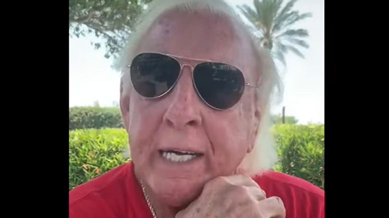 ric flair manager money embezzled video trademarks