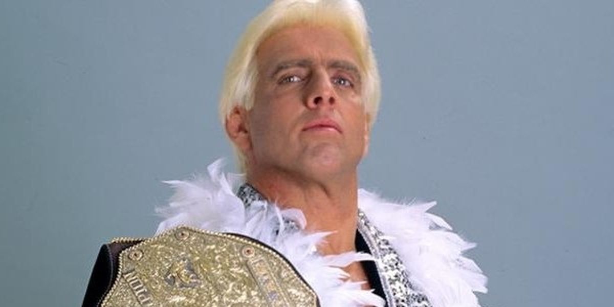 5 Former WCW World Heavyweight Champions That Made It Big In WWE (& 5 ...