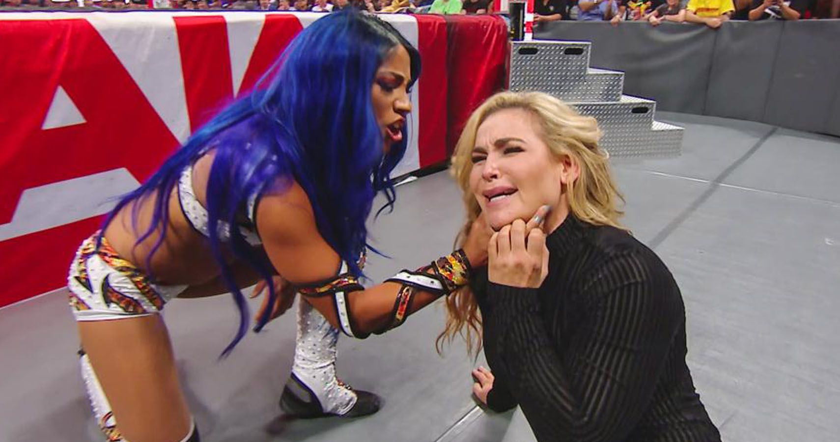 Sasha Banks Returns To WWE Attacks Natalya And Lynch