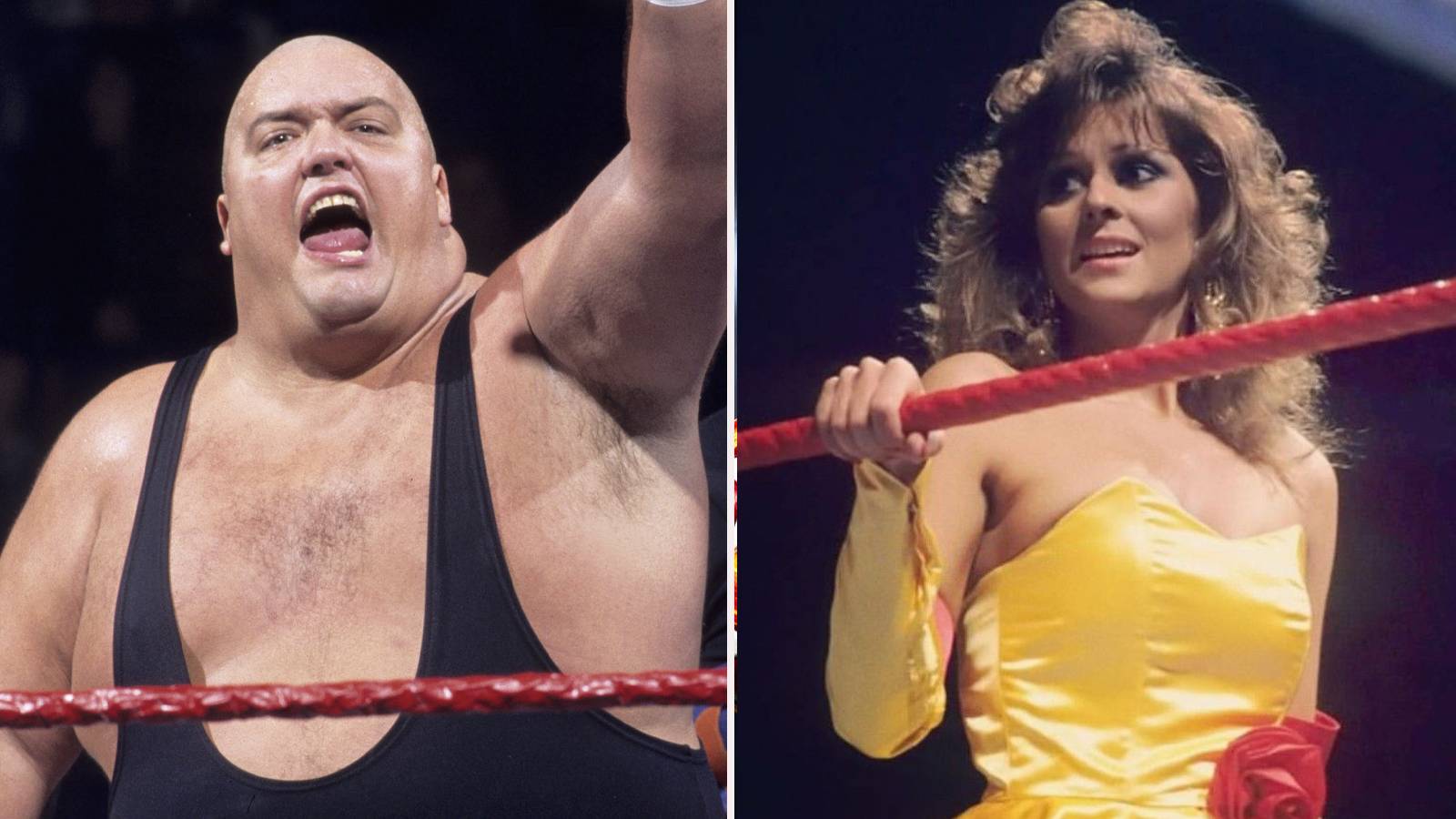 Wwe Roster In 1980s 10 '80s Stars Who Deserve To Be In The WWE Hall Of Fame