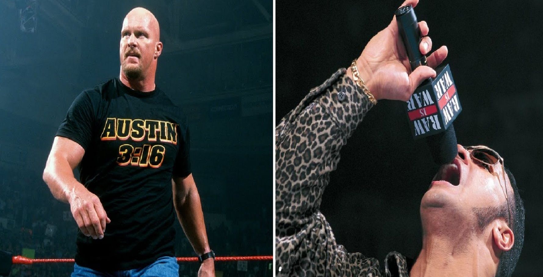 5 Reasons Steve Austin Was The Best Wrestler Of The Attitude Era (& 5