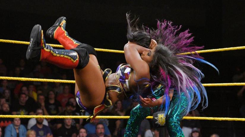 The 10 Greatest Top Rope Finishers In Wrestling, Ranked