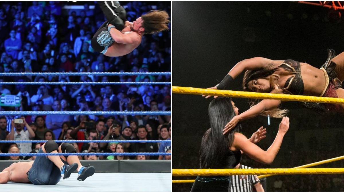 The 10 Greatest Top Rope Finishers In Wrestling, Ranked