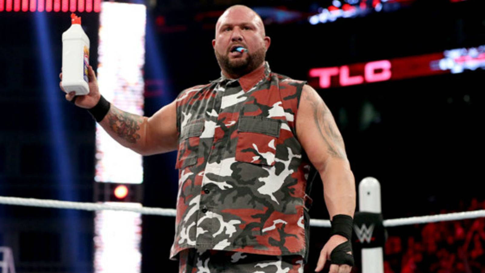 Bully Ray Says What We're All Thinking About TLC Matches In WWE