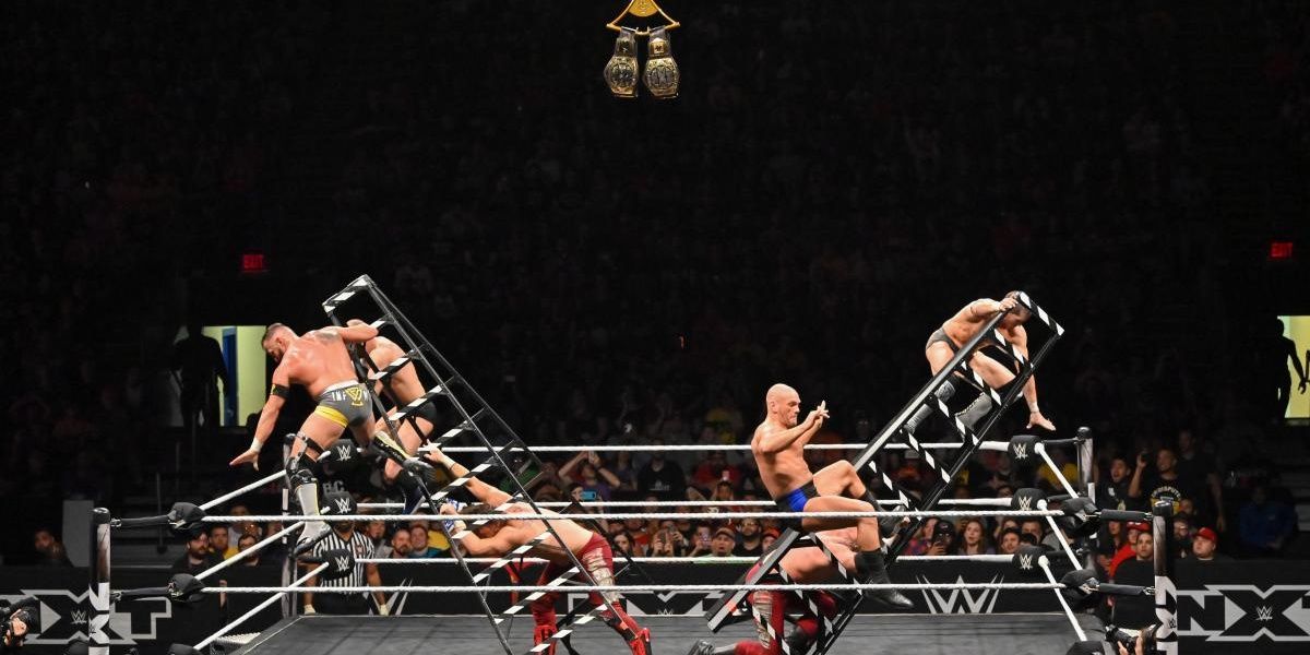 10 Best Tag Team Ladder Matches In WWE History